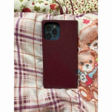 iPhone 12pro max