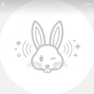 アップル　Apple 初売り　エアタグ　ウサギ