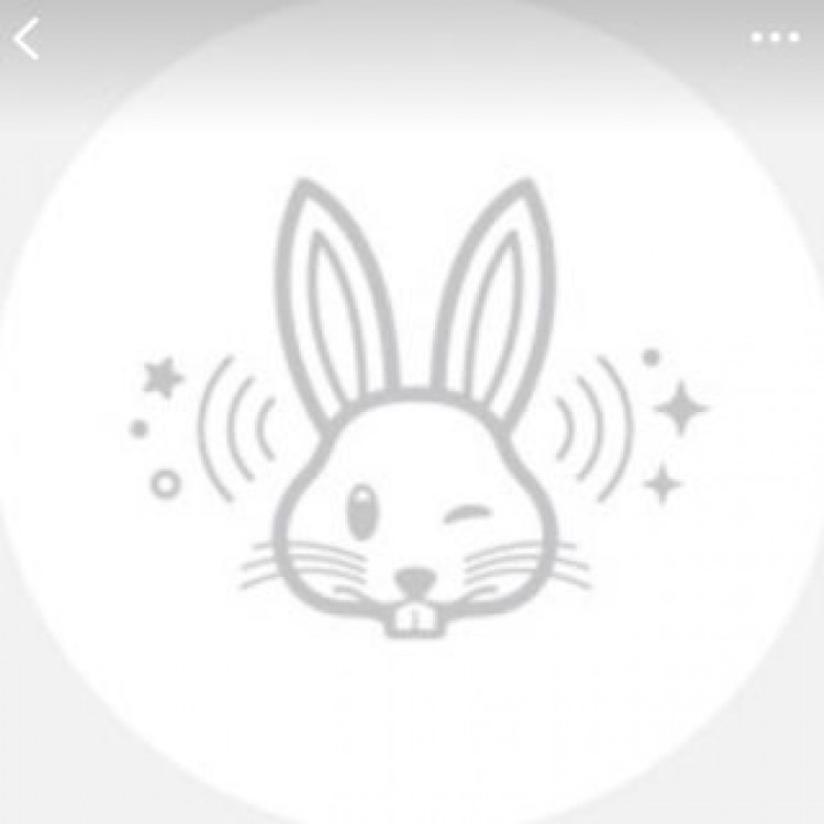 アップル　Apple 初売り　エアタグ　ウサギ