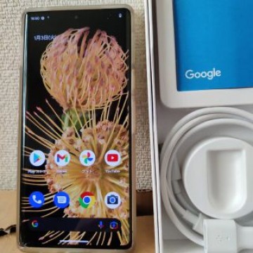 Google Pixel 6 Pro