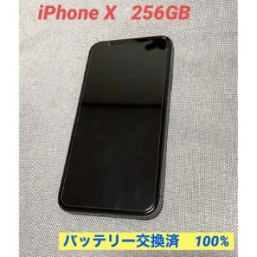 【美品‼️】 iPhone X 256GB Space Gray 付属品有り‼️