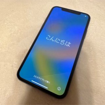 iPhone X