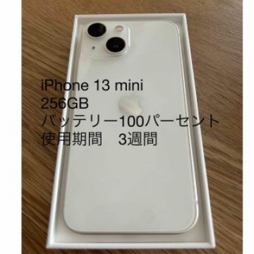 iPhone 13 mini 256GB
