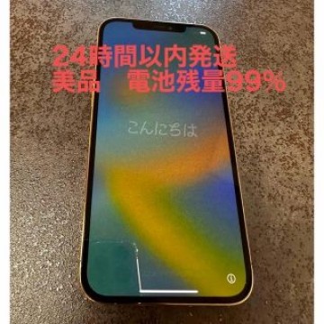 iPhone 12 Pro Max  iPhone12promax