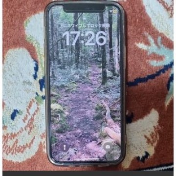 iPhone 12 mini