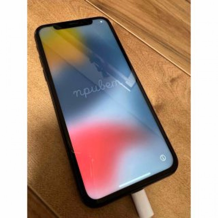 iPhone X