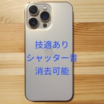 Apple iPhone 13 Pro Gold 256GB Canada版