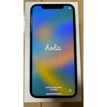 iPhone Xs 256 GB Softbank スペースグレイ