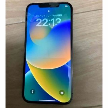 iPhone12 Pro Max 258GB  海外版    simフリー