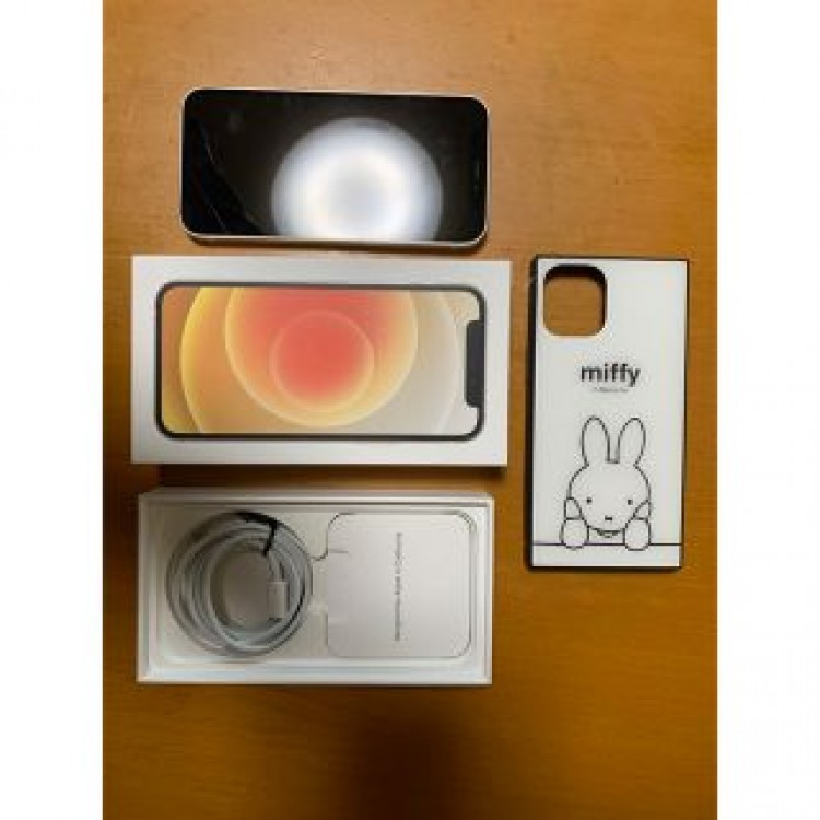 【極美品】iPhone12 mini 256GB 本体　simフリー