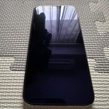 ☆超美品☆iPhone 13pro Max 1TB