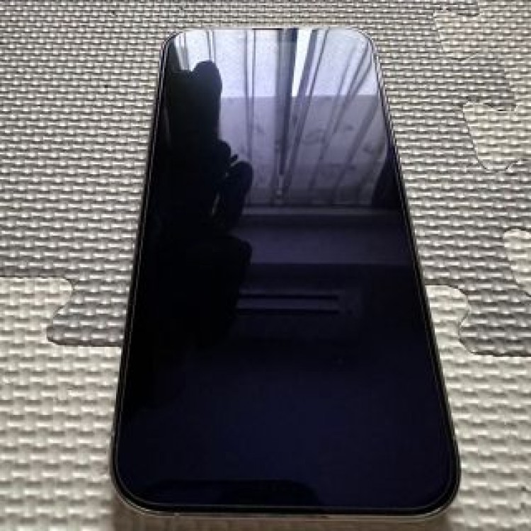 ☆超美品☆iPhone 13pro Max 1TB