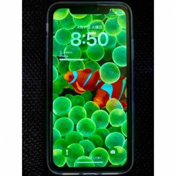 電波障害対策用iPhone11  64GB DSDS SIMフリー