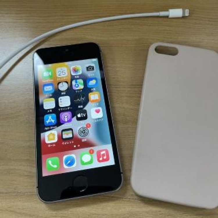 海外版 SIMフリー iPhone SE iPhone SE 第1世代 128G