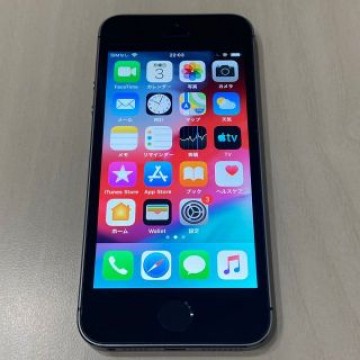 iPhone5s SpaceGray 16GB docomo
