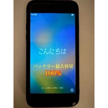 iPhone 8 Space Gray 64 GB SIMフリー　