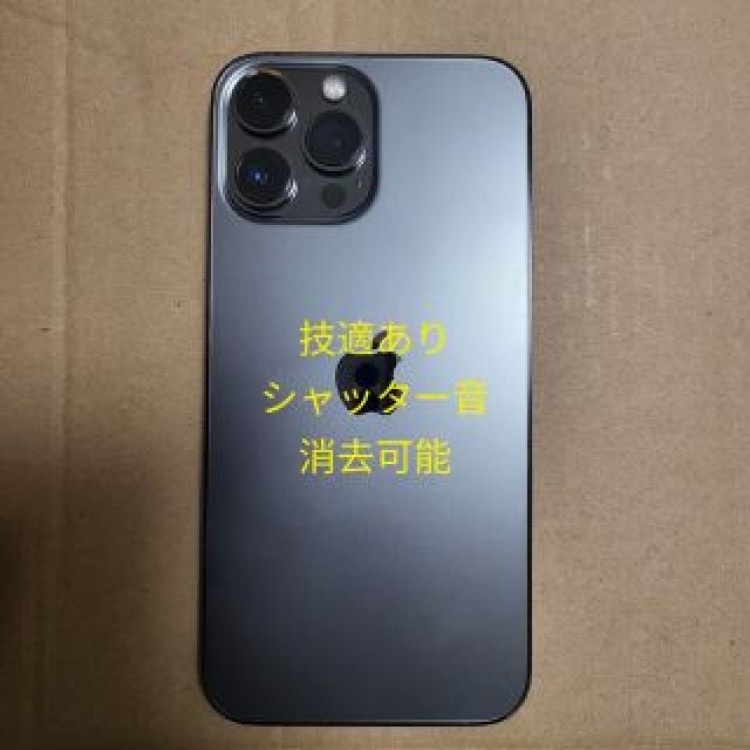Apple iPhone 13 Pro Max Graphite 256 カナダ