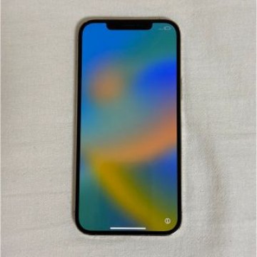 iPhone12ProMAX 256GB