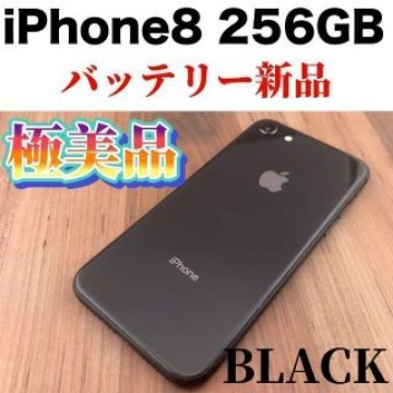 iPhone 8 Space Gray 256 GB SIMフリー