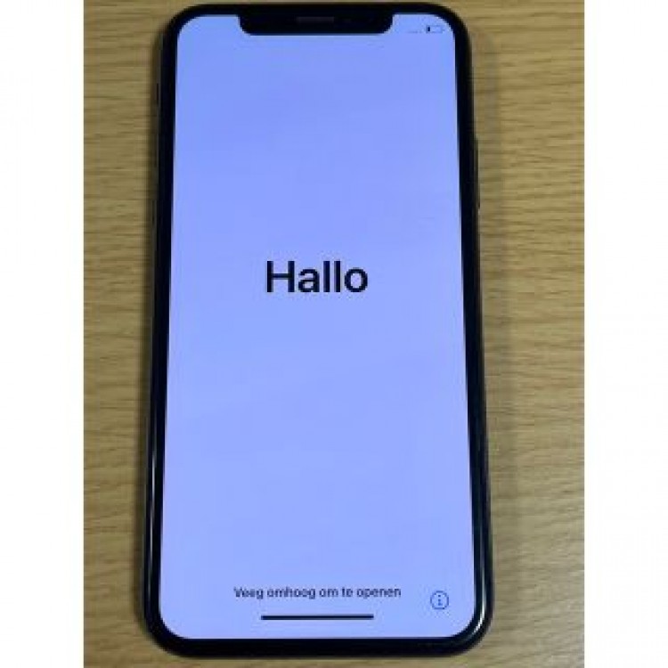 iPhone X 256GB