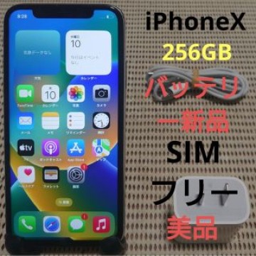 完動品SIMフリー美品iPhoneX本体256GBシルバーDOCOMO充電器付