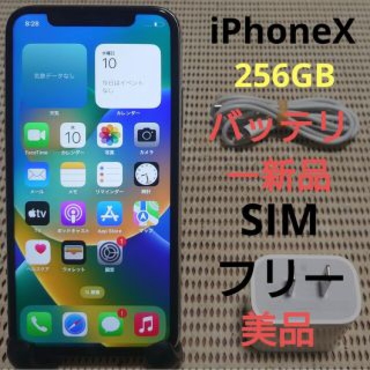 完動品SIMフリー美品iPhoneX本体256GBシルバーDOCOMO充電器付