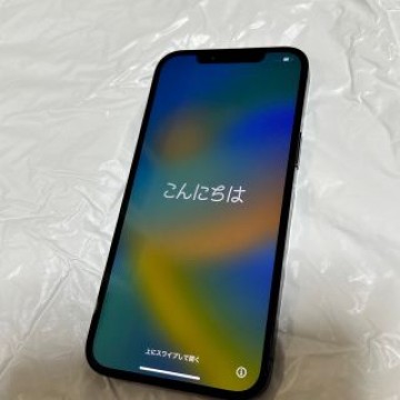 iPhone 12 Pro Max パシフィックブルー 256 GB