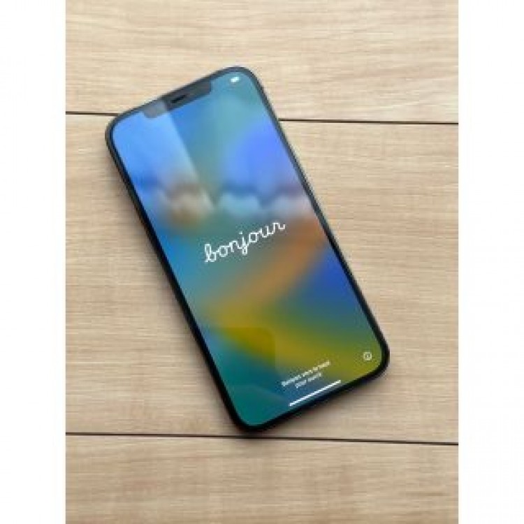 iPhone 12 Pro Max グラファイト 256 GB SIMフリー