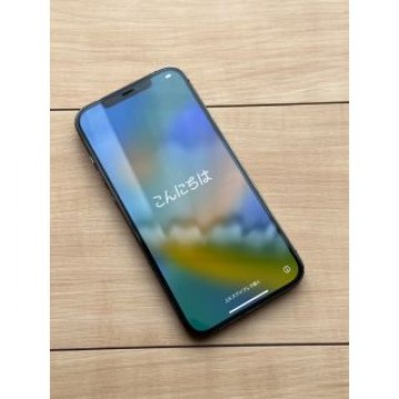 iPhone 12 Pro Max グラファイト 256 GB SIMフリー