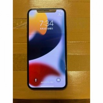 iPhone X 256GB