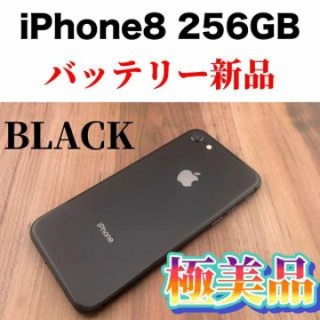 63iPhone 8 Space Gray 256 GB SIMフリー