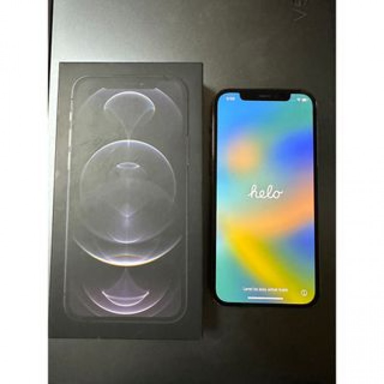 iPhone 12 pro グラファイト 256 GB docomo