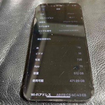 iPhone12pro512G